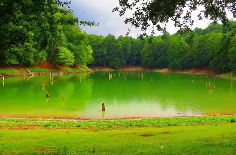 سفر به ساری
