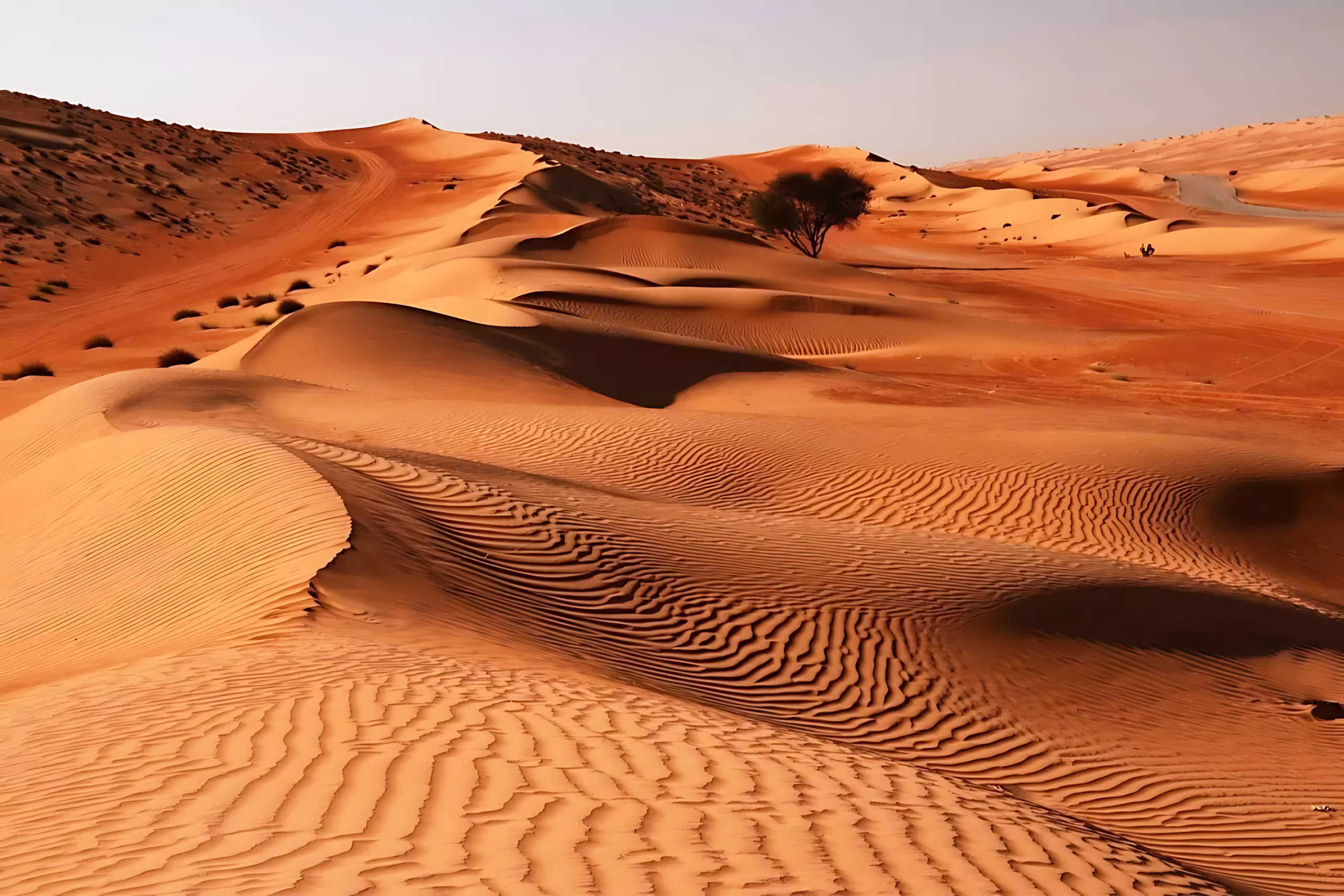 تور کویر پلوند تا آب گرم فردوس