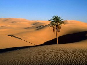 تور حلوان