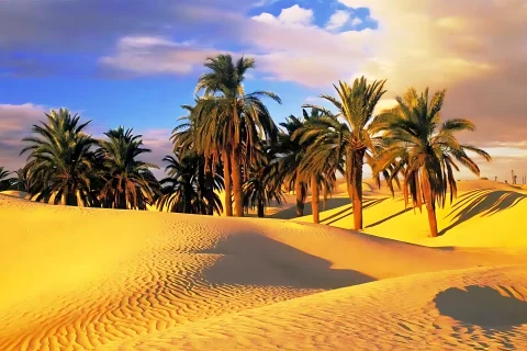 تور گروهی طبس گردی 3 شب و 4 روز از مشهد