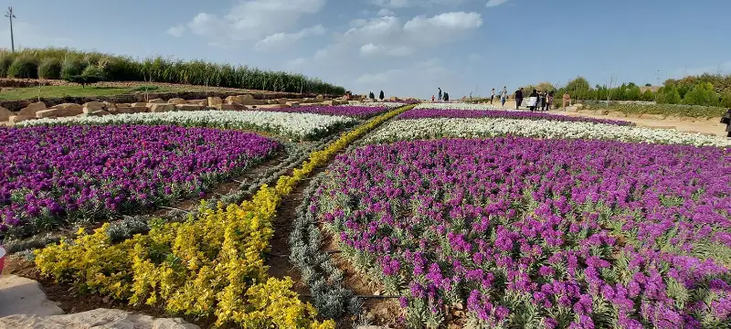 باغ گل های شیراز