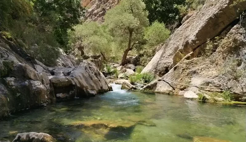 تنگ تیزاب