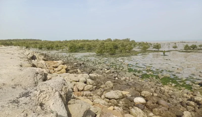 پارک ساحلی هلر