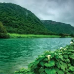 تور عمان