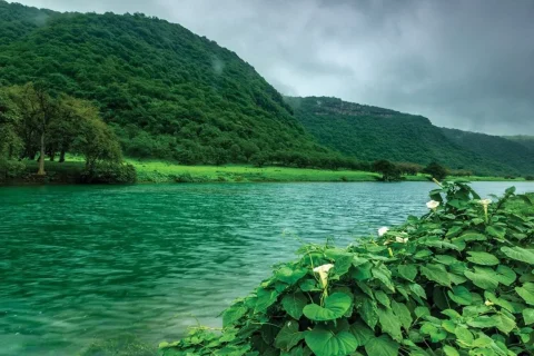 تور عمان