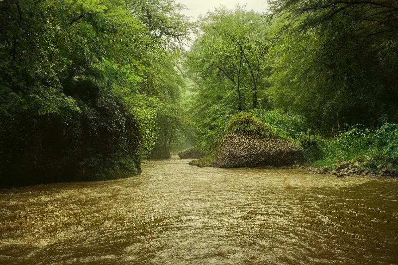 جنگل پلنگ دره؛ بهشت شمال ایران