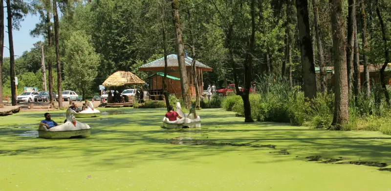 پارک جنگلی سراوان رشت